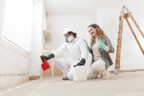Best Mold Removal for HVAC Installations  in Hurst, TX