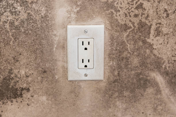 Best Black Mold Removal  in Hurst, TX